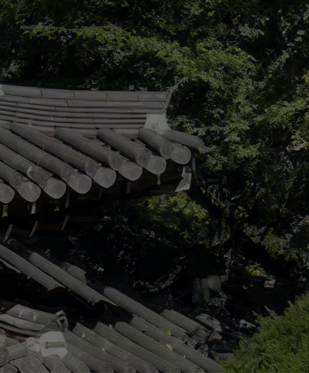 heritage_banner